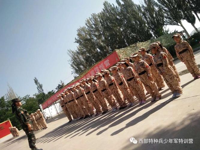 体验式亲子拓展活动 在共同经历中重塑亲子关系